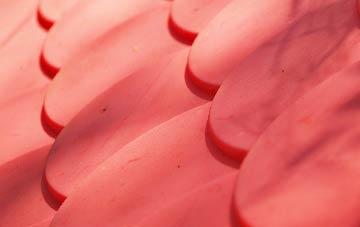 New Longton plastic roof costs