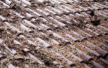 New Longton roof cleaning companies