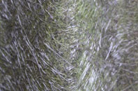 New Longton fibreglass roof work